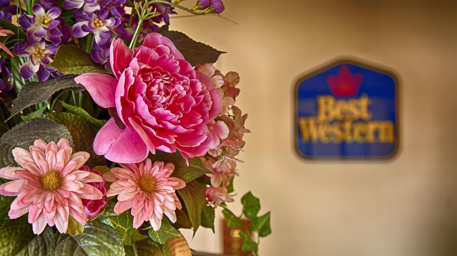 Best Western Executive Inn Marshall Extérieur photo